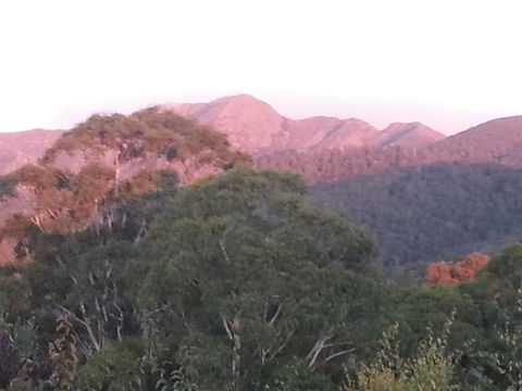 Day Dream Cottage - Accommodation Mooloolaba 2