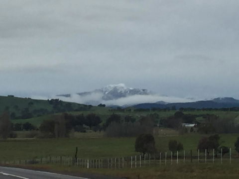 Day Dream Cottage - Accommodation Mooloolaba 0