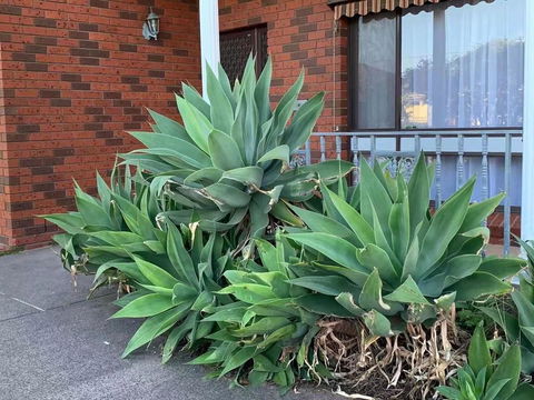 Delicate And Cozy Bedroom In Bentleigh East - Accommodation Mooloolaba 2