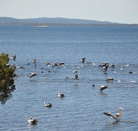 Denmark Waters BB - Accommodation Mooloolaba