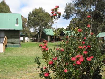 Derwent Bridge Chalets & Studios - Accommodation Mooloolaba 1
