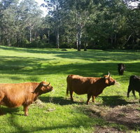 Dingley Dell - Accommodation Mooloolaba