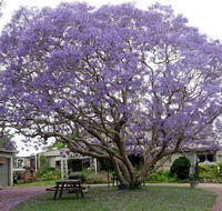 Ecotel Narooma - Accommodation Mooloolaba