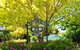 Eden Bed & Breakfast - thumb 0