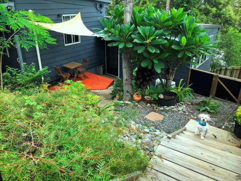Eumundi Cottage In Town - Accommodation Mooloolaba 2