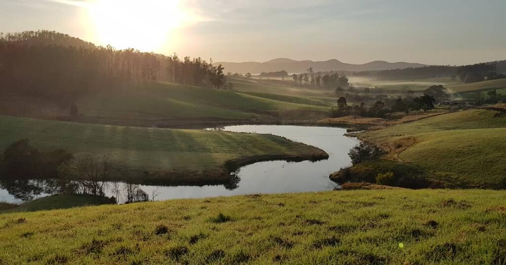 Bago NSW Accommodation Mooloolaba