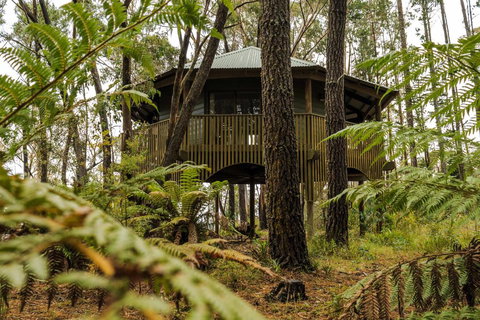 Federation Gardens & Possums Hideaway - Accommodation Mooloolaba 2