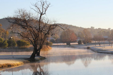 FROGGIES HOLIDAY HOUSE - Accommodation Mooloolaba 1