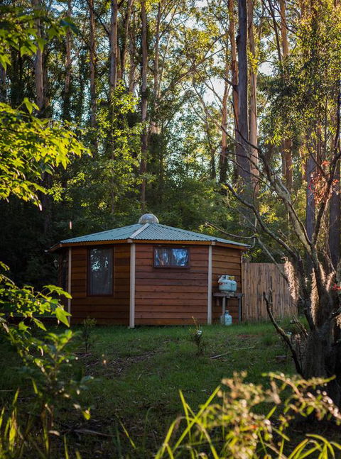 Funky Yurt On Acreage - Accommodation Mooloolaba 3