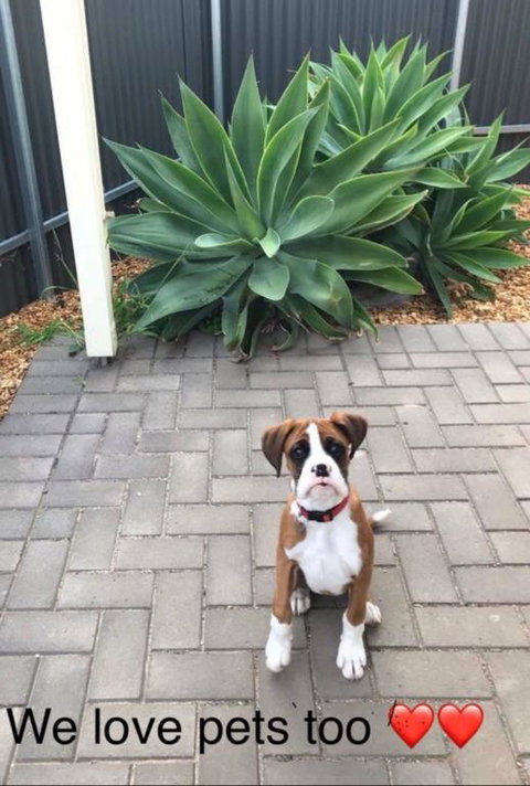 Gawler Townhouse 1 Bedroom - Accommodation Mooloolaba 3