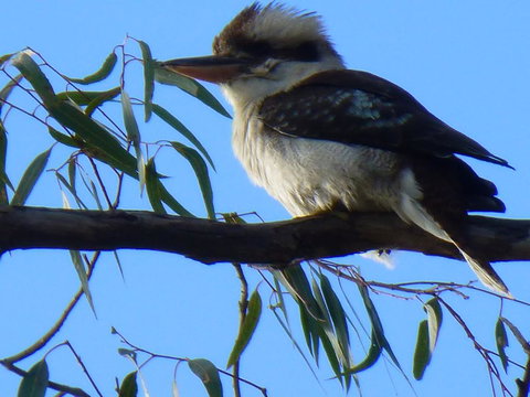 Golfers Retreat Motel - Accommodation Mooloolaba 2