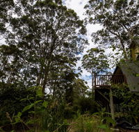 Green Leaves Cabin - Accommodation Mooloolaba