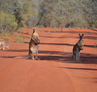 Gundabooka National Park Cottages - Accommodation Mooloolaba