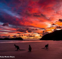 Heather's Mica Cottage - Accommodation Mooloolaba