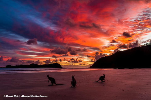 Heather's Mica Cottage - Accommodation Mooloolaba 0