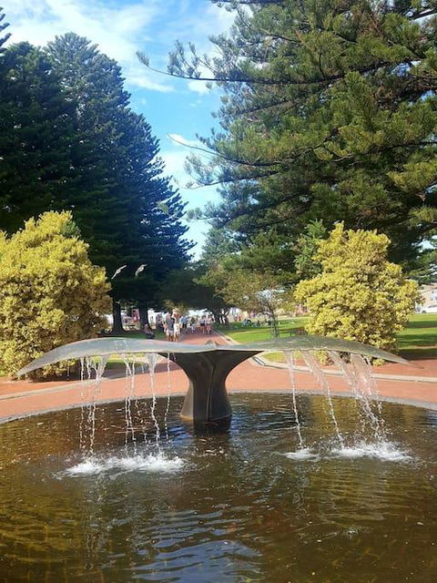 Hi 5 Luxury Holiday Apartments - Accommodation Mooloolaba 3
