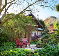 Hills End Camellia - Accommodation Mooloolaba