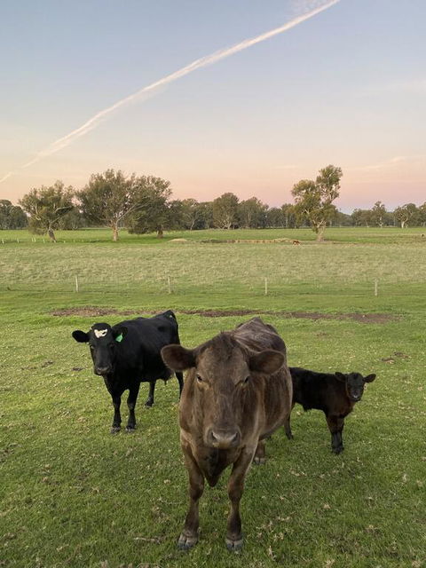 Holly House BnB - Accommodation Mooloolaba 1