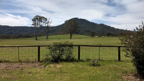 Hollyhill Cottage - Accommodation Mooloolaba 0