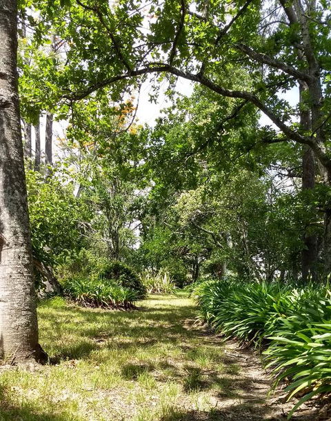 Hollyhill Cottage - Accommodation Mooloolaba 3