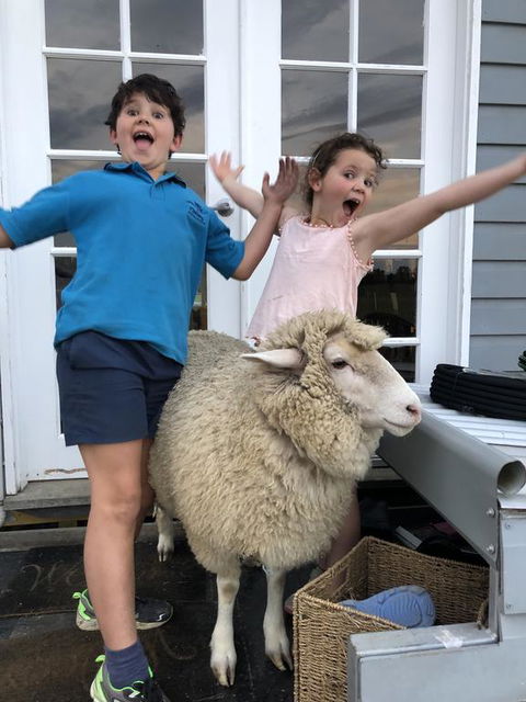 Jackaleah Farm Stay - Accommodation Mooloolaba 2