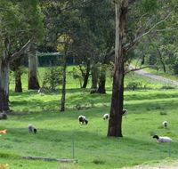 JAN'S ART STUDIO AT ASHBY RISE - Accommodation Mooloolaba