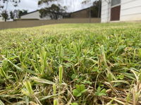 Book Karoonda Accommodation Vacations Accommodation Mooloolaba Accommodation Mooloolaba