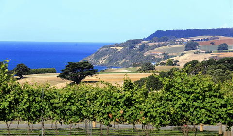 Mallavale Farm, Boat Harbour - Accommodation Mooloolaba 0