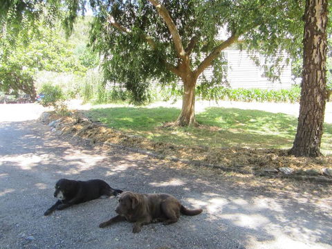 Molenda Lodge Farm Let - Accommodation Mooloolaba 3