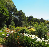 Murrindindi - Accommodation Mooloolaba