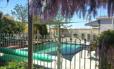 Must Love Dogs B&B & Self Contained Cottage - Accommodation Mooloolaba 2