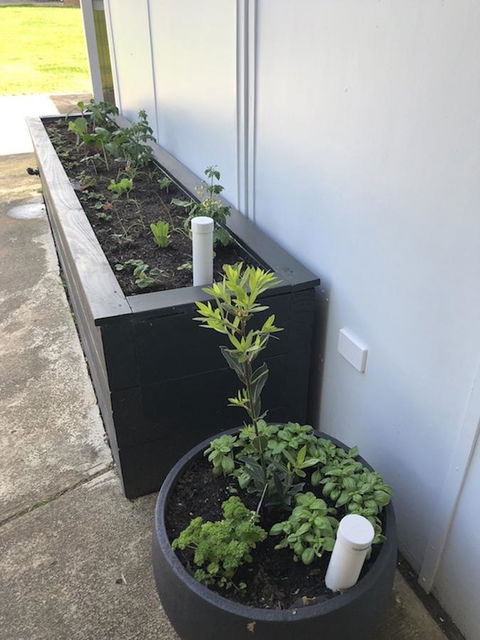 Augusta Escape Holiday Units - Accommodation Mooloolaba 30