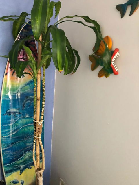 BeachHideaway@Scarborough - Accommodation Mooloolaba 28