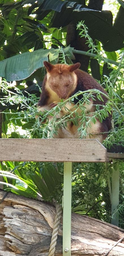 High Tor - Accommodation Mooloolaba 30