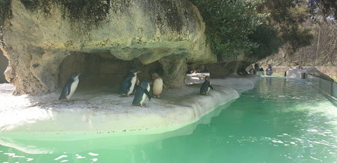 High Tor - Accommodation Mooloolaba 33