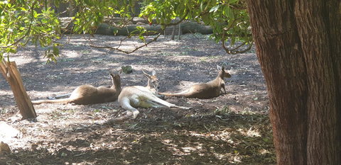 High Tor - Accommodation Mooloolaba 31