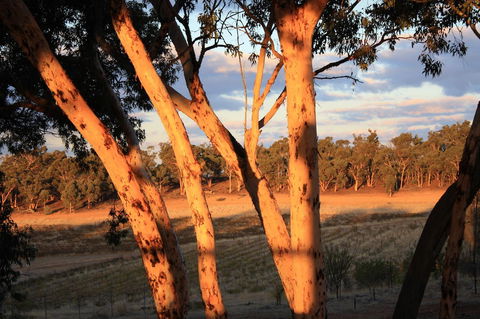 Hotham Ridge Estate - Accommodation Mooloolaba 30