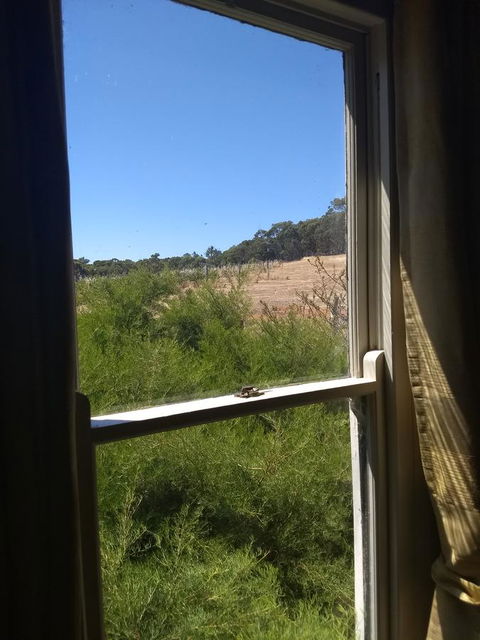 Hotham Ridge Estate - Accommodation Mooloolaba 8