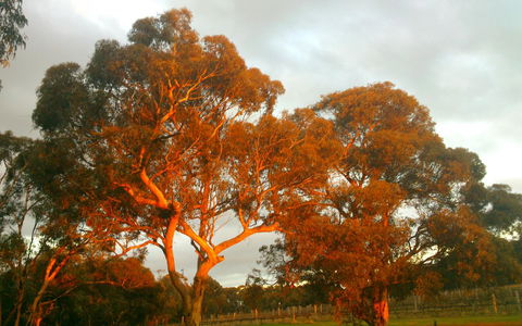 Hotham Ridge Estate - Accommodation Mooloolaba 35