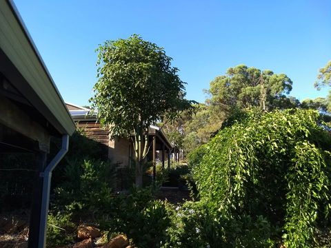 Hotham Ridge Estate - Accommodation Mooloolaba 5