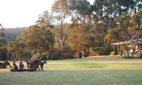 Book Walpole Accommodation Vacations Accommodation Mooloolaba Accommodation Mooloolaba