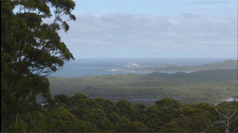 Riverside Retreat Chalets, Walpole - Accommodation Mooloolaba 30