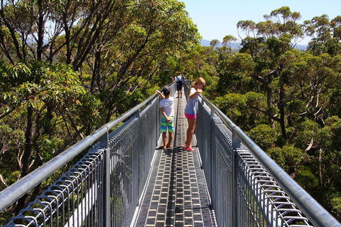 Bayside Villas - Accommodation Mooloolaba 16