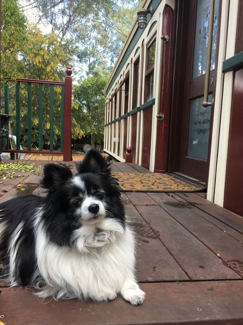 Quiet Escapes Cottages - Accommodation Mooloolaba 15