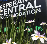 Esperance Central Accommodation - Accommodation Mooloolaba