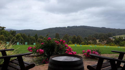 Karri Aura - Accommodation Mooloolaba 3