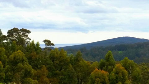 Karri Aura - Accommodation Mooloolaba 10