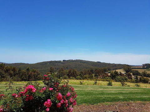 Karri Aura - Accommodation Mooloolaba 9