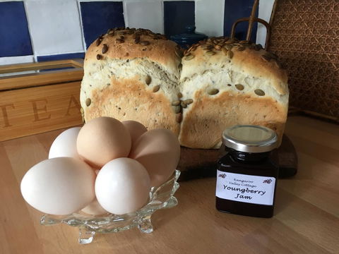 Kangaroo Valley Cottage - Accommodation Mooloolaba 14