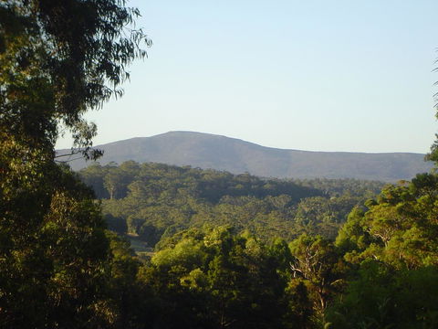 Kangaroo Valley Cottage - Accommodation Mooloolaba 19